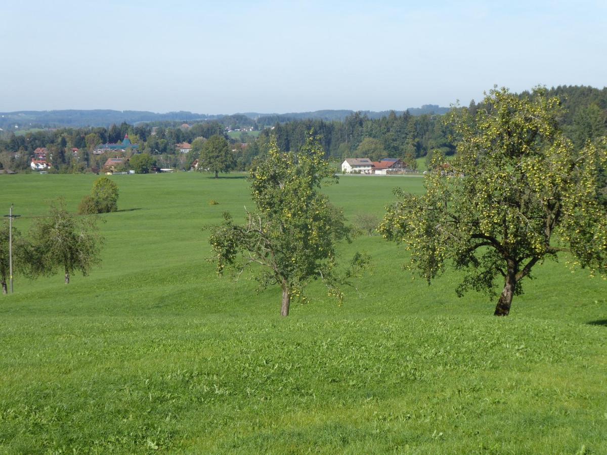 Landhof Zitzler Διαμέρισμα Opfenbach Εξωτερικό φωτογραφία